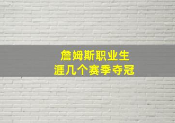 詹姆斯职业生涯几个赛季夺冠