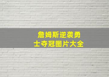 詹姆斯逆袭勇士夺冠图片大全