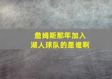 詹姆斯那年加入湖人球队的是谁啊