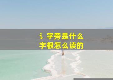 讠字旁是什么字根怎么读的