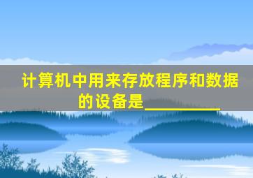 计算机中用来存放程序和数据的设备是_________