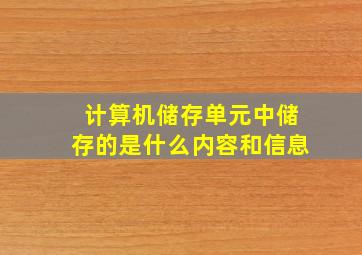 计算机储存单元中储存的是什么内容和信息