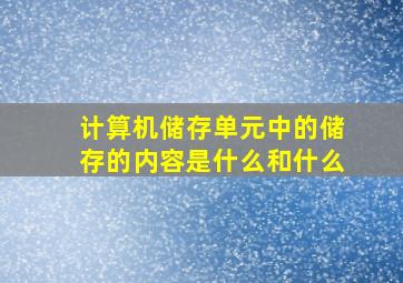 计算机储存单元中的储存的内容是什么和什么