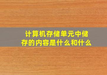 计算机存储单元中储存的内容是什么和什么