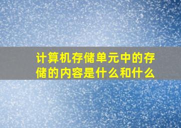 计算机存储单元中的存储的内容是什么和什么