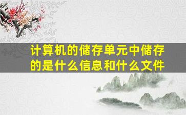 计算机的储存单元中储存的是什么信息和什么文件