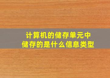 计算机的储存单元中储存的是什么信息类型