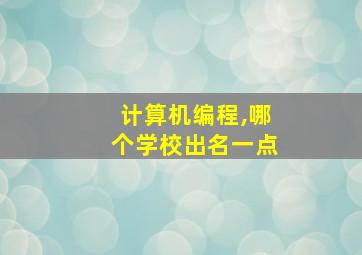 计算机编程,哪个学校出名一点