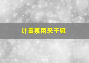 计量泵用来干嘛