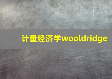 计量经济学wooldridge