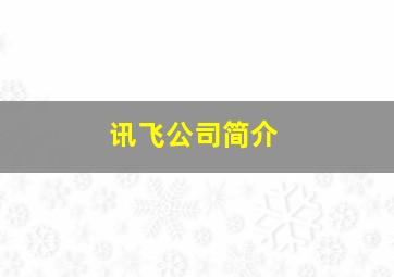 讯飞公司简介