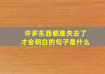 许多东西都是失去了才会明白的句子是什么