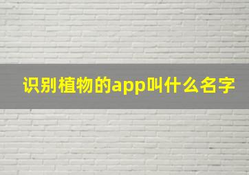 识别植物的app叫什么名字