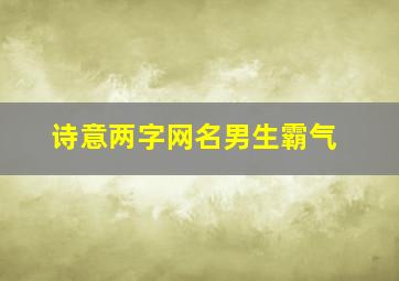 诗意两字网名男生霸气