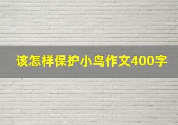 该怎样保护小鸟作文400字