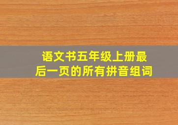 语文书五年级上册最后一页的所有拼音组词