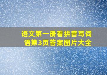 语文第一册看拼音写词语第3页答案图片大全