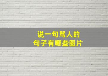 说一句骂人的句子有哪些图片