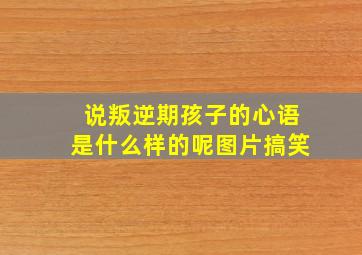 说叛逆期孩子的心语是什么样的呢图片搞笑