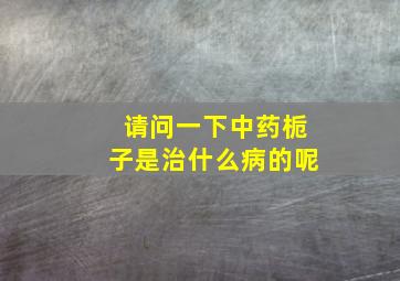 请问一下中药栀子是治什么病的呢