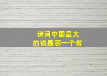 请问中国最大的省是哪一个省