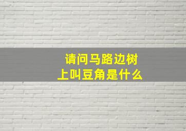 请问马路边树上叫豆角是什么