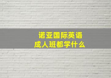 诺亚国际英语成人班都学什么