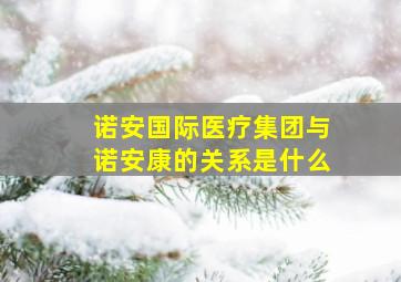 诺安国际医疗集团与诺安康的关系是什么