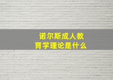 诺尔斯成人教育学理论是什么