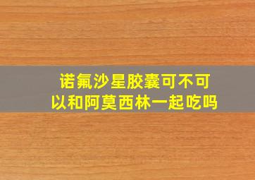 诺氟沙星胶囊可不可以和阿莫西林一起吃吗