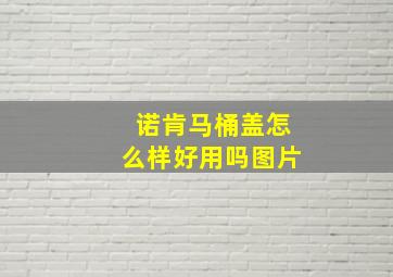 诺肯马桶盖怎么样好用吗图片