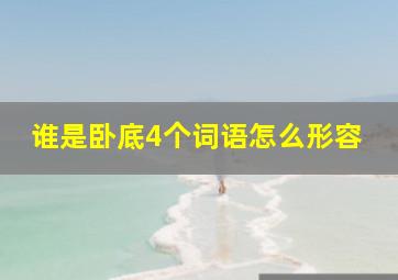 谁是卧底4个词语怎么形容