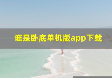 谁是卧底单机版app下载