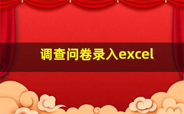 调查问卷录入excel