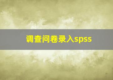 调查问卷录入spss