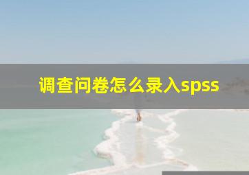 调查问卷怎么录入spss