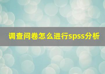 调查问卷怎么进行spss分析