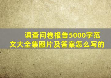 调查问卷报告5000字范文大全集图片及答案怎么写的