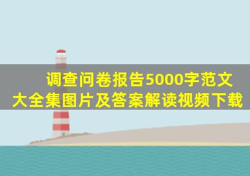 调查问卷报告5000字范文大全集图片及答案解读视频下载