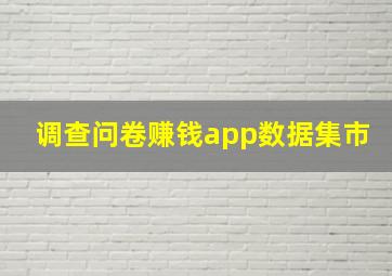 调查问卷赚钱app数据集市