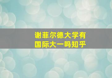 谢菲尔德大学有国际大一吗知乎