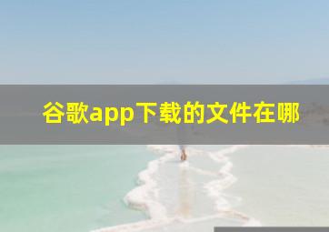 谷歌app下载的文件在哪