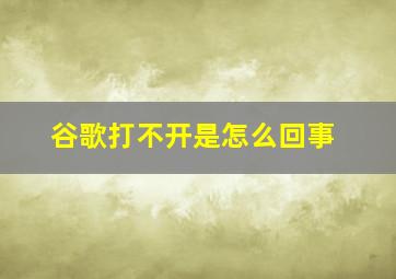 谷歌打不开是怎么回事