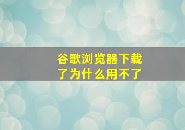 谷歌浏览器下载了为什么用不了