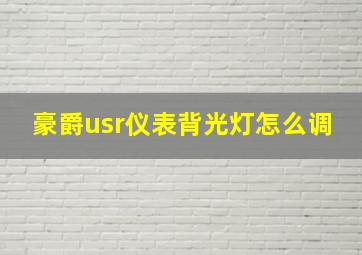 豪爵usr仪表背光灯怎么调