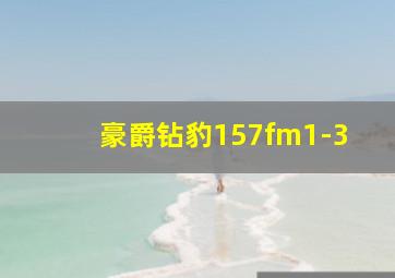 豪爵钻豹157fm1-3