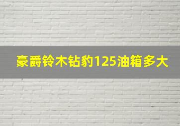 豪爵铃木钻豹125油箱多大