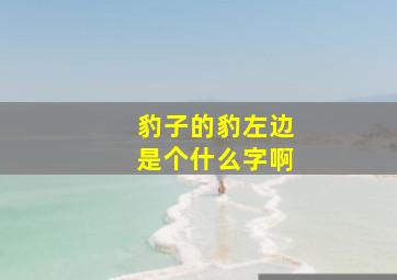 豹子的豹左边是个什么字啊