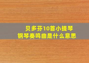 贝多芬10首小提琴钢琴奏鸣曲是什么意思