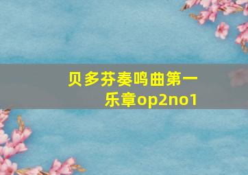 贝多芬奏鸣曲第一乐章op2no1